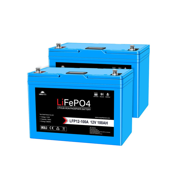 SunGoldPower 12V 100Ah LiFePO4 Battery - 2-Pack, Self-Heating