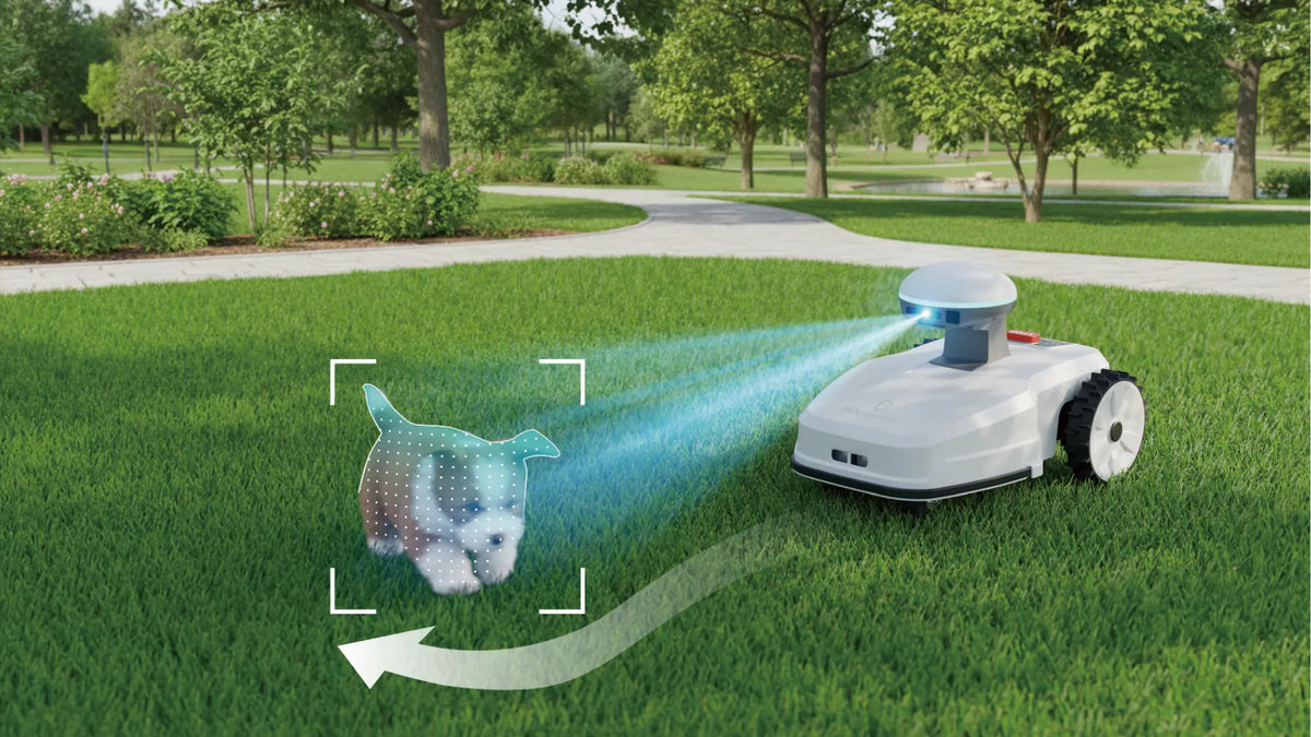 FJD FR4000 stereo vision detecting an obstacle on the lawn