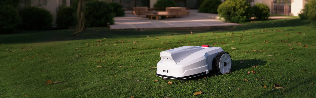 FJD FV2000 robotic lawn mower on a backyard lawn at dusk