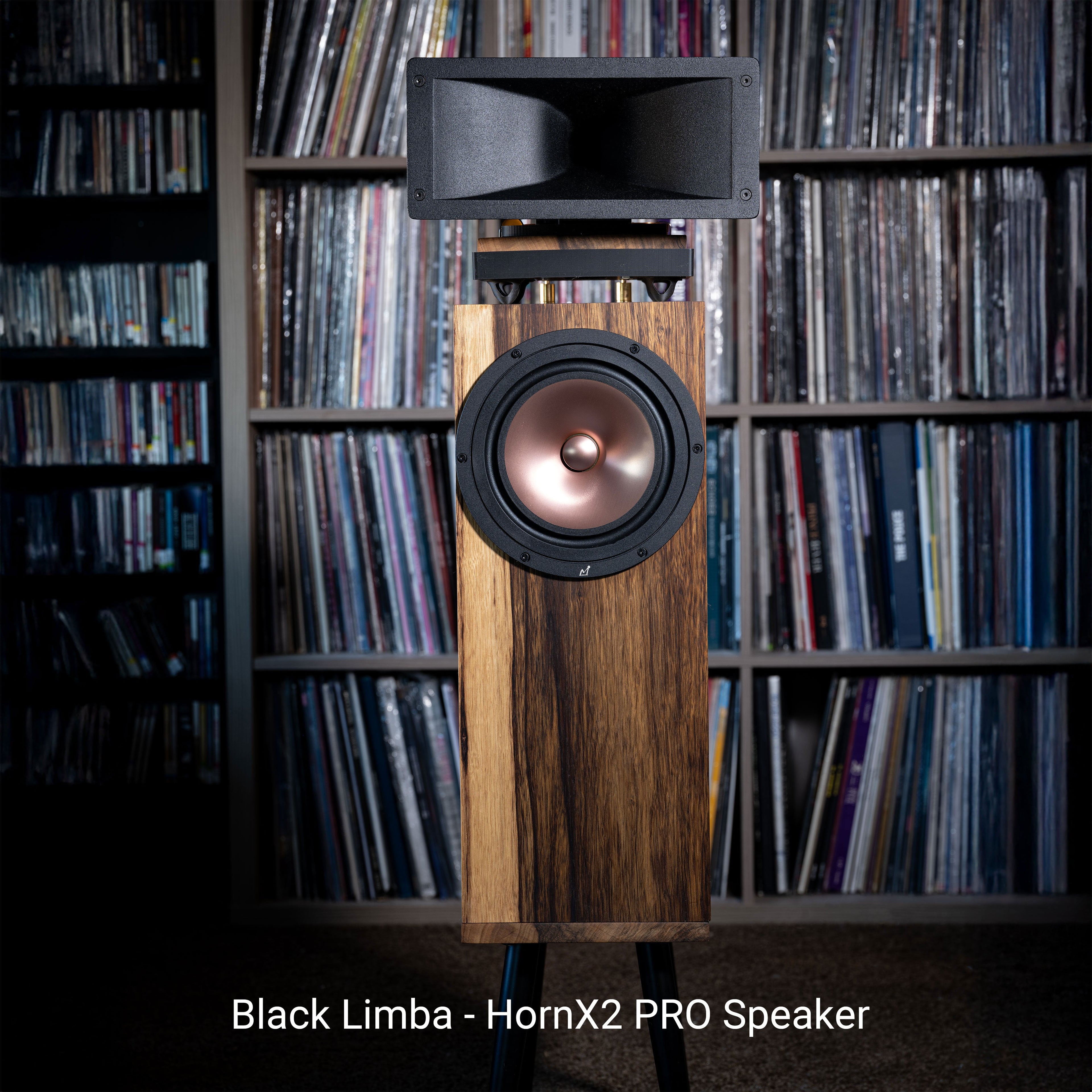 Hiro Horn Speaker - A Complete Horn-Based Speaker System (Pair)
