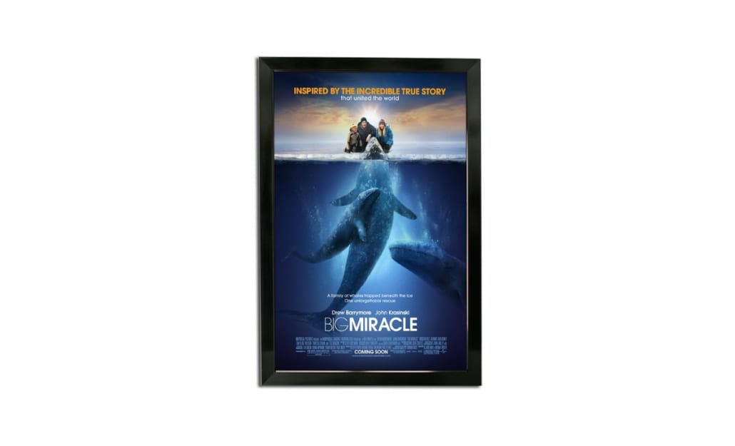 Poster Snap Frame - Bass Loc