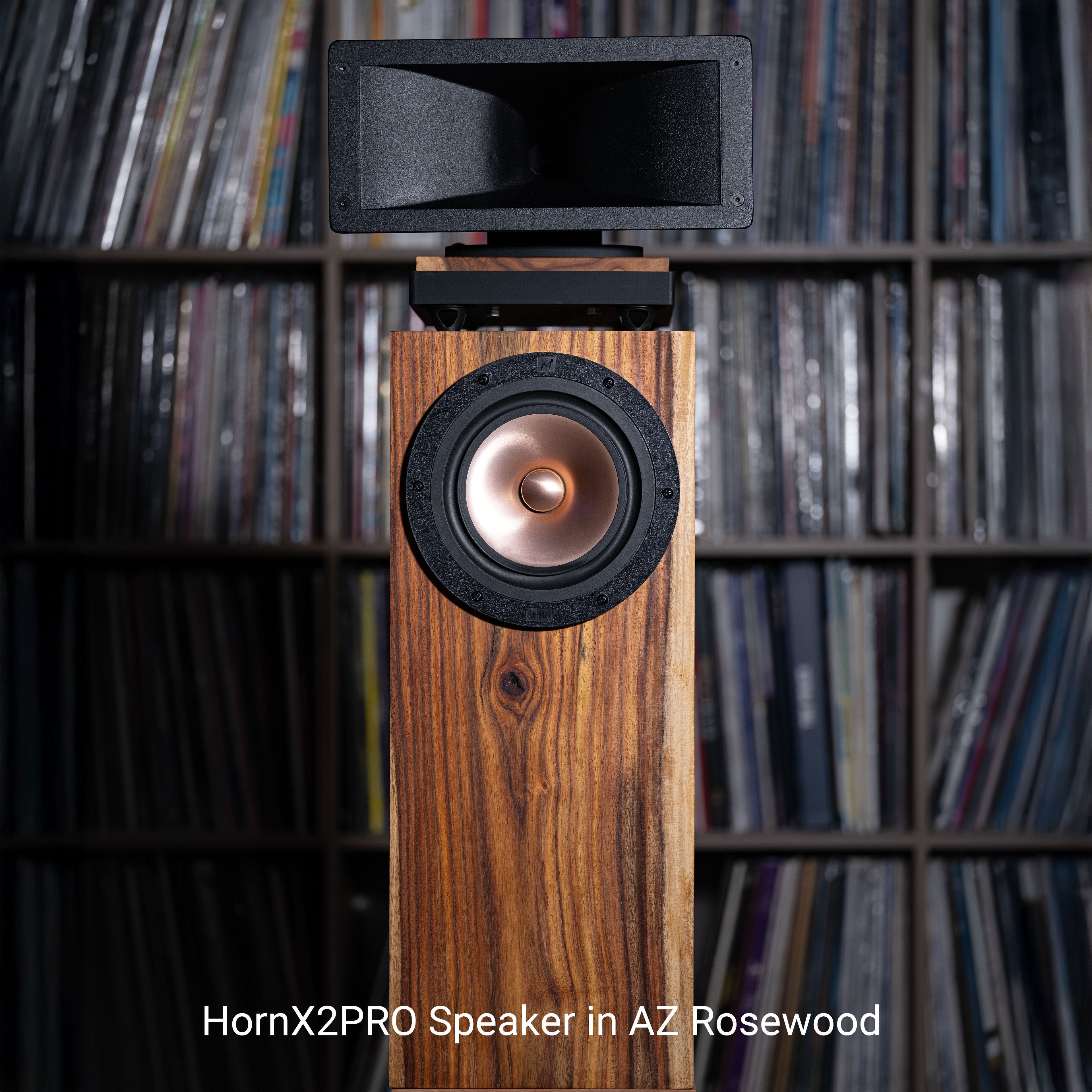 Hiro Horn Speaker - A Complete Horn-Based Speaker System (Pair)