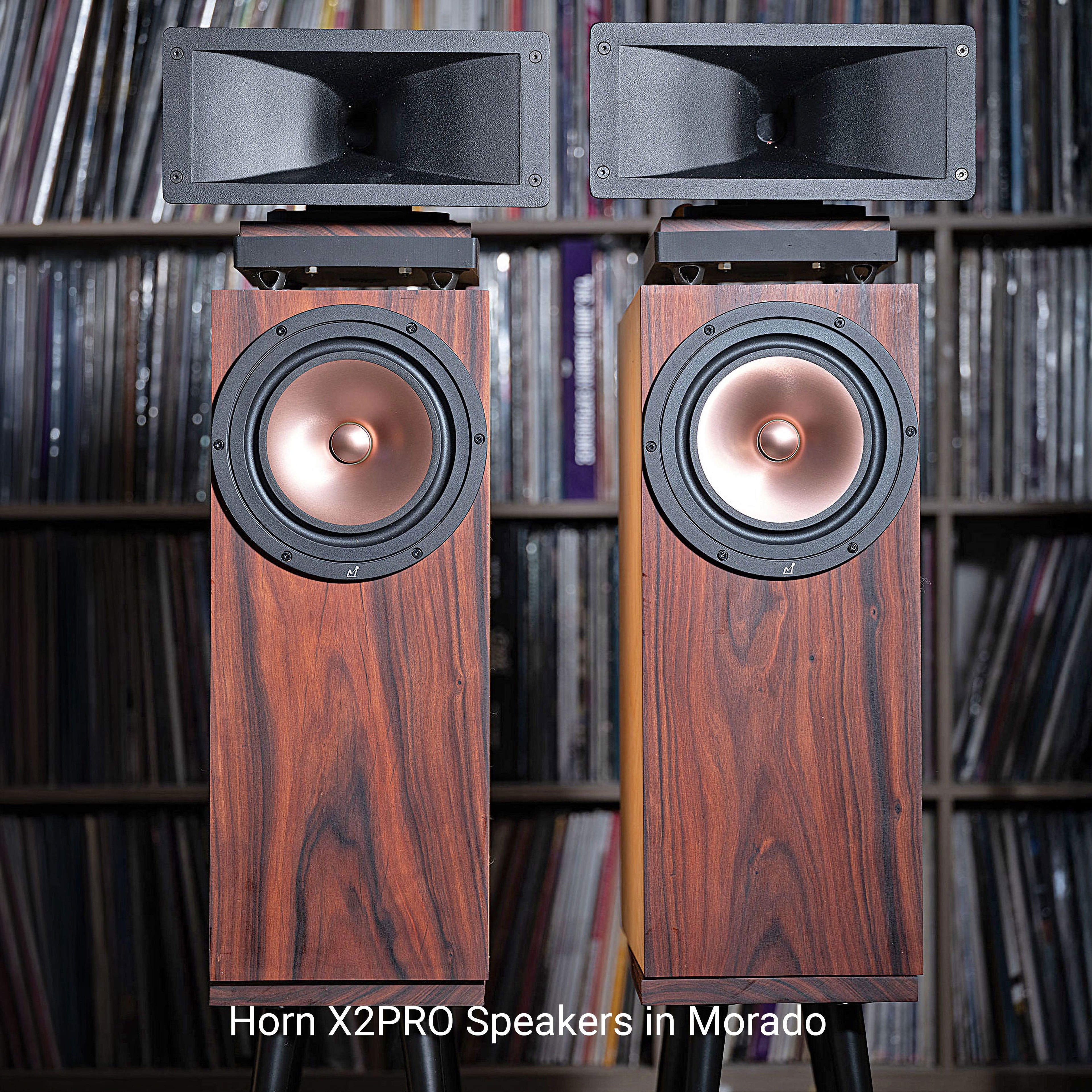 Hiro Horn Speaker - A Complete Horn-Based Speaker System (Pair)